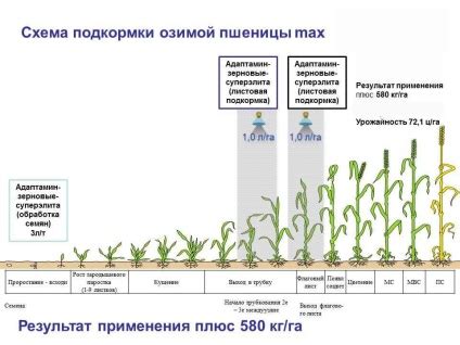 Выбор места для разведения кальциевой селитры