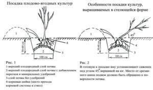 Выбор места и анализ грунта