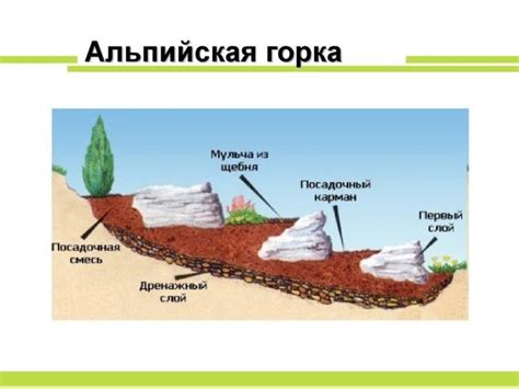 Выбор места и размеров горки