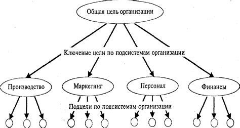 Выбор направления и целей организации