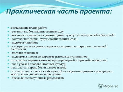 Выбор плана улыбки и подготовка схемы