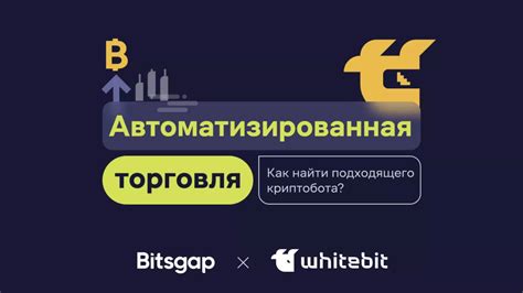 Выбор подходящего бота для репоста