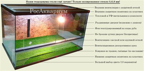 Выбор подходящего оборудования для террариумов