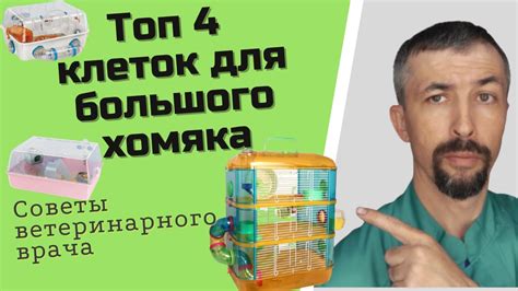 Выбор подходящей клетки для хомяка повторюшки