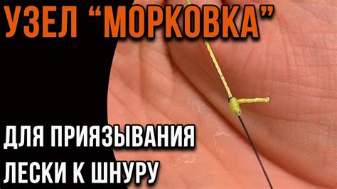 Выбор подходящей лески для узла морковка