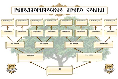 Выбор подходящей формы родословного древа