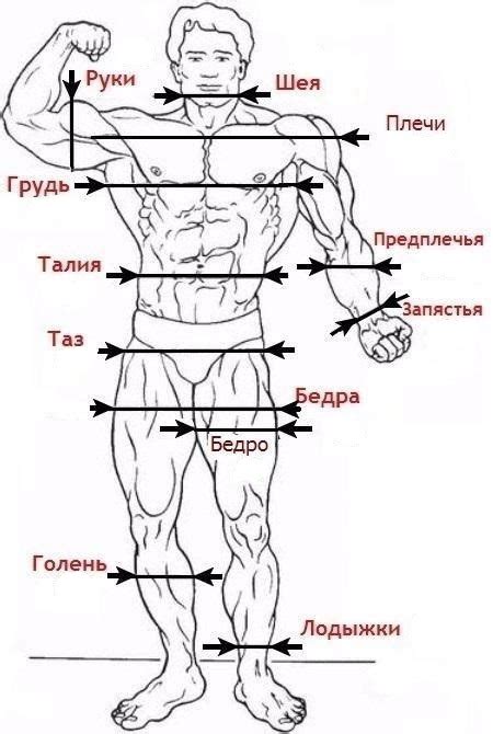 Выбор позы и динамики: изображение мужского тела в движении