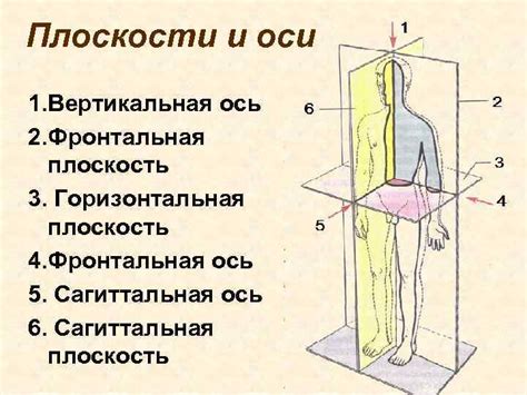 Выбор правильной позы и оси движения