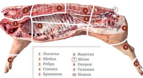 Выбор правильной свинины