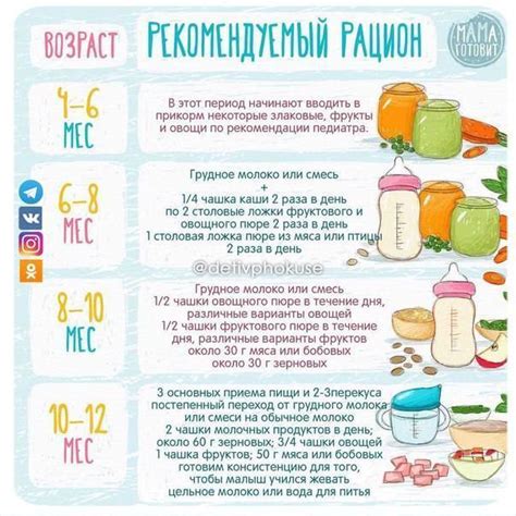 Выбор правильных картофелей для пюре