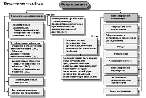 Выбор правовой формы и организационно-правовая структура