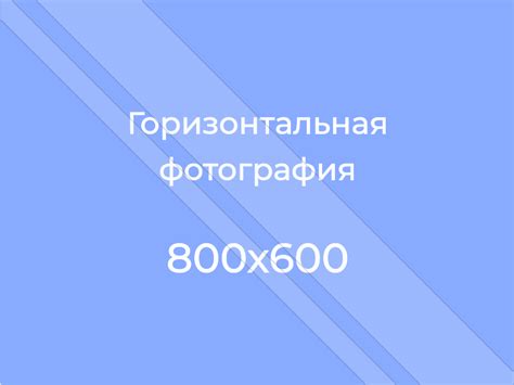 Выбор предметов и курсов для обучения