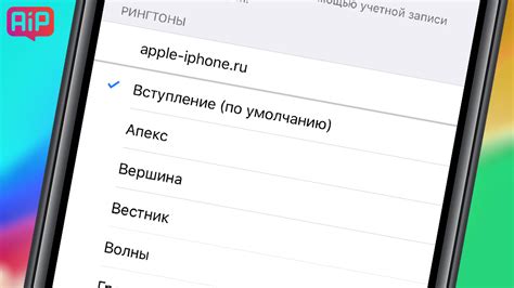 Выбор рингтона для iPhone 12