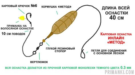 Выбор снаряжения для ловли сазана