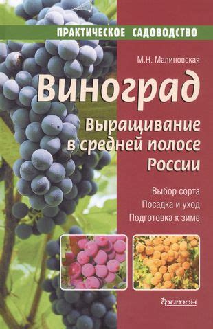 Выбор сорта кумквата и подготовка к разведению