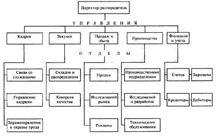 Выбор структуры организации