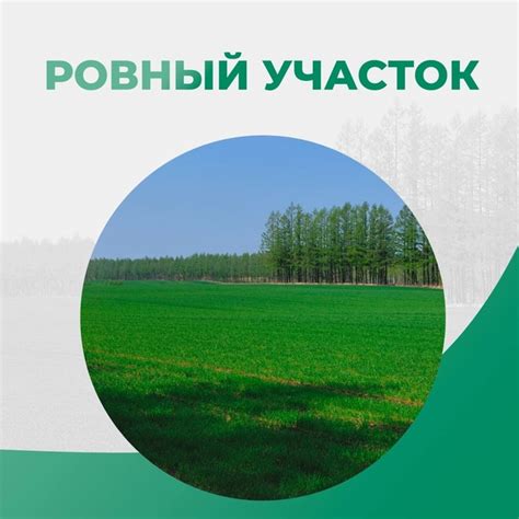 Выбор участка для работы: поиск подходящей бумаги