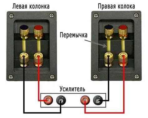 Выбор шнура для подключения колонки