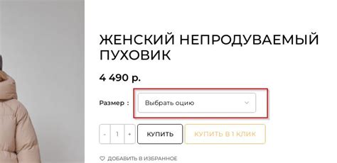 Выбрать опцию "Не помню пароль"