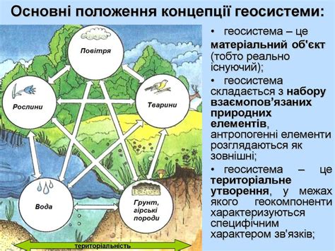 Выделение главных элементов природы тундры