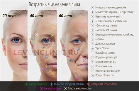 Выделение преимуществ овала лица: 5 эффективных методов