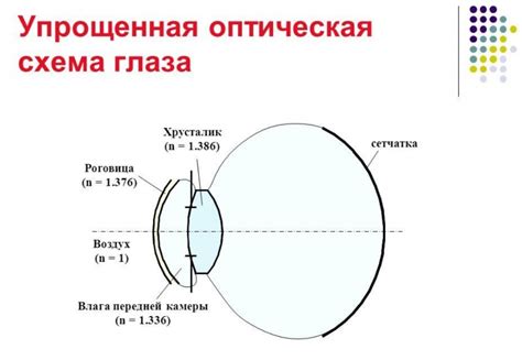 Выразительные глаза и их важность