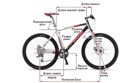 Высота руля велосипеда: полезные советы и инструкции