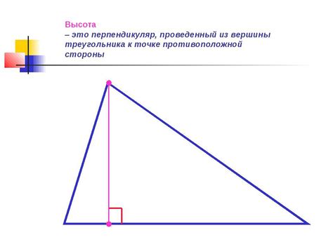 Высота треугольника в геометрии: сущность и применение