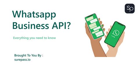 Выяснение требований для запуска API WhatsApp Business