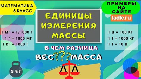 В чем разница между кг, фунтами и стонами на весах?