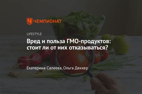 ГМО-продукты и их отрицательное воздействие