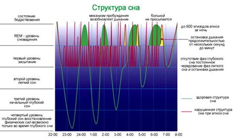 Гадания по сну: расшифровка сновидений