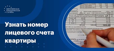 Где можно узнать номер лицевого счета электроэнергии, если квитанция потеряна