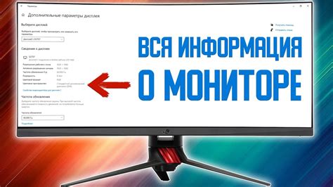 Где найти информацию о диагонали монитора в macOS