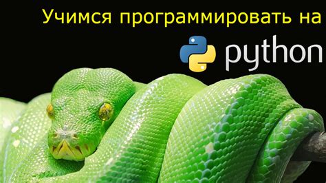 Где найти настройки Idle Python