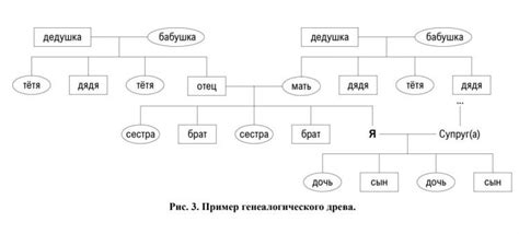 Генетика и причины возникновения