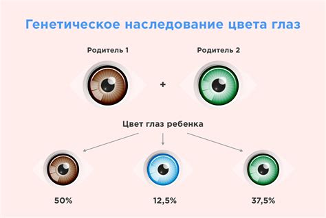 Генетика цвета глаз и возможность его изменения