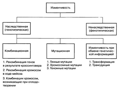 Генетическая изменчивость у разных рас