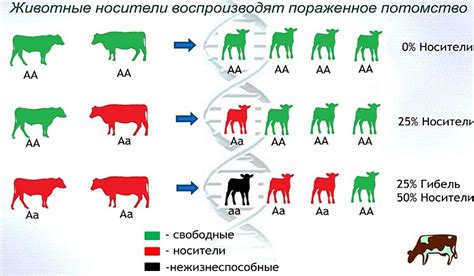 Генетические аномалии