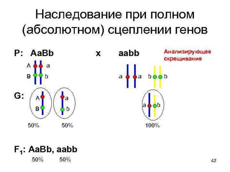 Генетические методы определения хромосомного пола мужчины