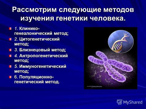 Генетические методы превращения