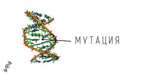 Генетические мутации и их роль в историческом развитии видов