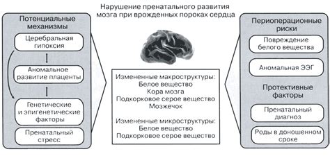 Генетические факторы и их роль в врожденных пороках