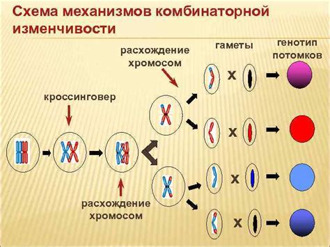 Генетический фактор и наследственность