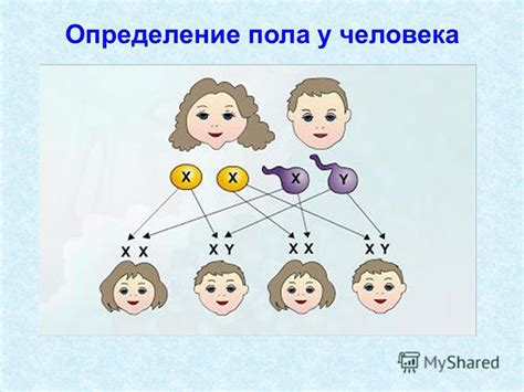 Генетическое наследование