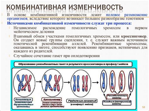 Генетическое наследование и развитие