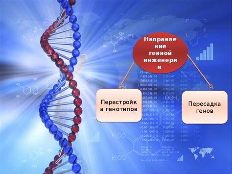 Генная инженерия: переписывание кода жизни