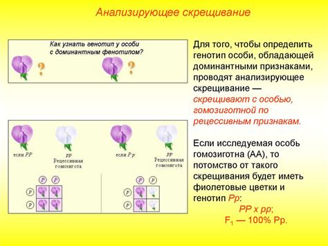 Генотип и генотипические сочетания в гаметах