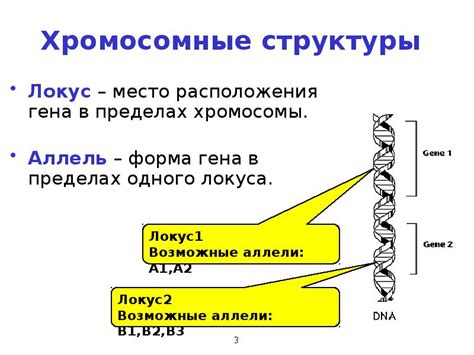 Гены и их роль в наследственности