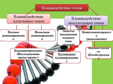 Гены и окружающая среда: взаимодействие и влияние